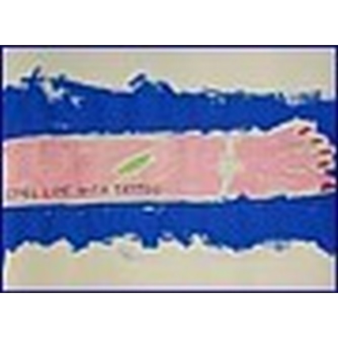 Natura morta con tatuaggio